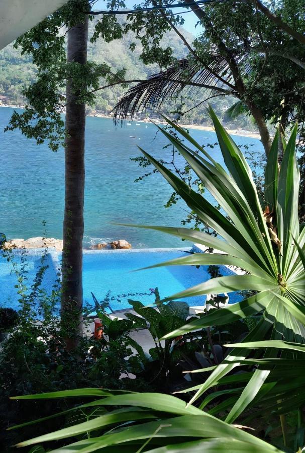 Villas Santa Cecilia "Villa Geegee" En Йелапа Екстериор снимка